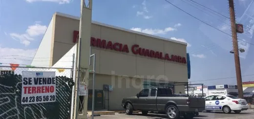 Naranjeros presenta colección exclusiva para temporada LMP 2026-27