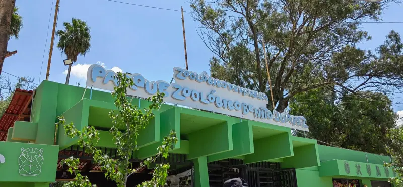 Trabaja Zoo Morelia en retomar sus recorridos nocturnos