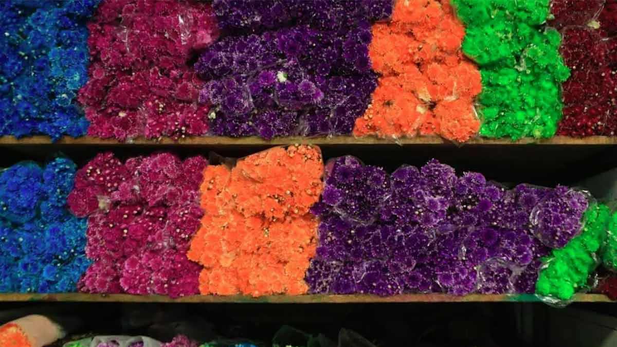 Floricultores piden a transportistas permitir paso de flores para Día de Muertos