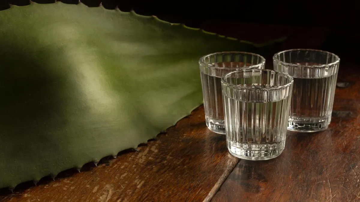 Mundo Mezcal 2026 busca que la bebida se conozca más allá de la moda