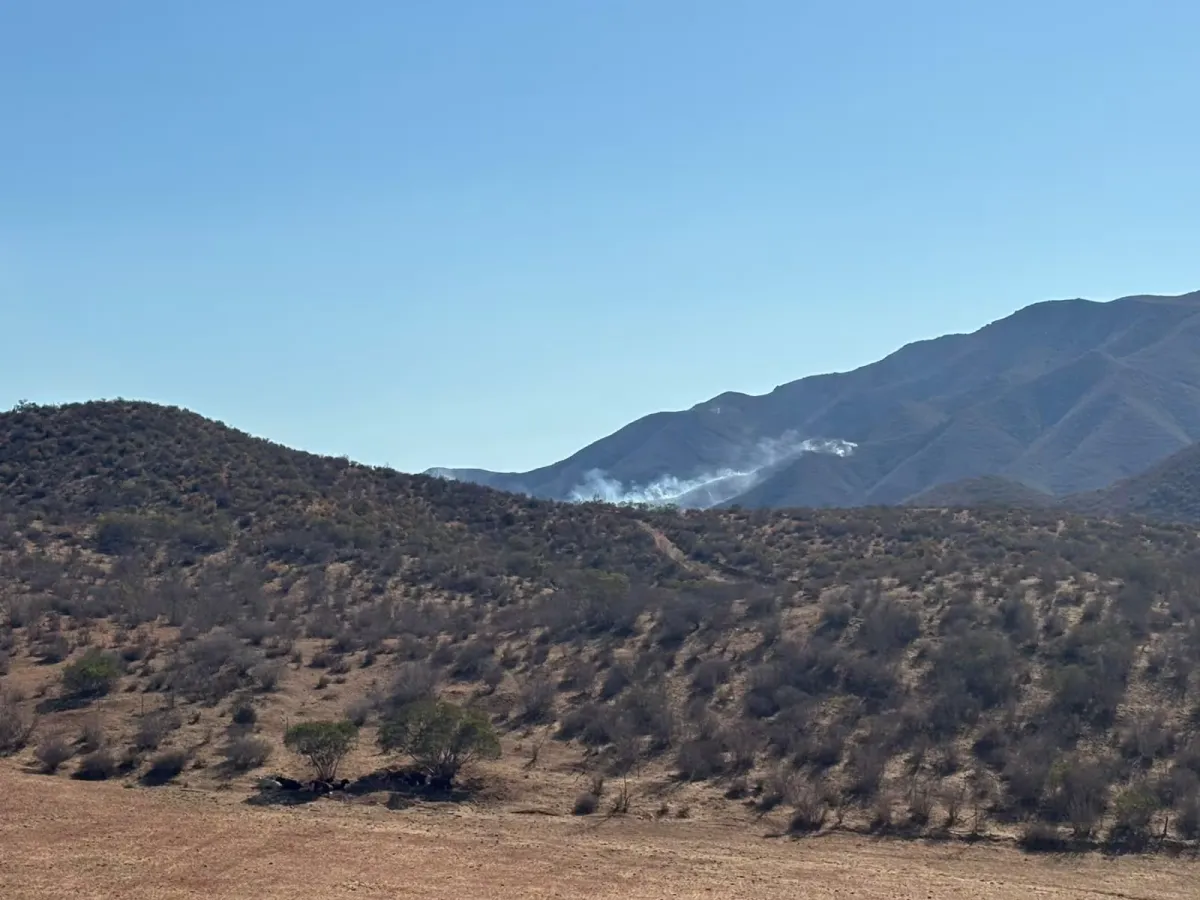 Liquidan incendio forestal que afectó 600 hectáreas en San Vicente tras cuatro días de labores