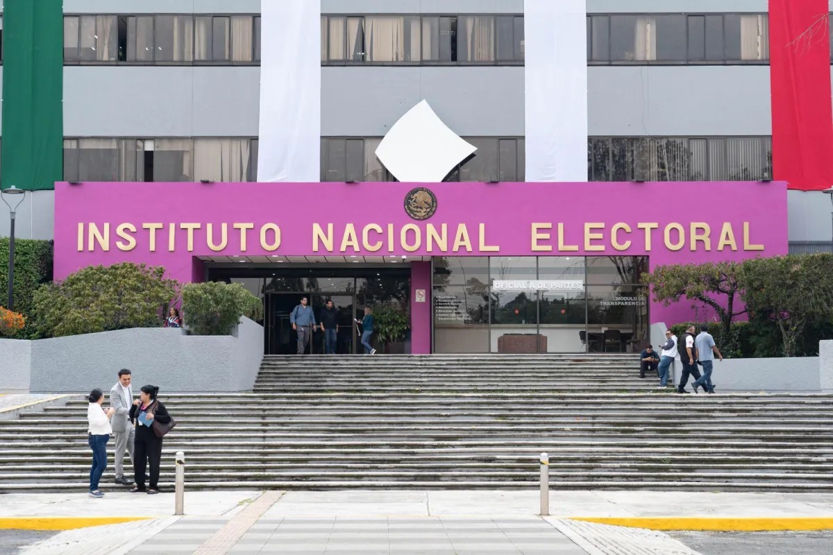 INE: Una purga necesaria