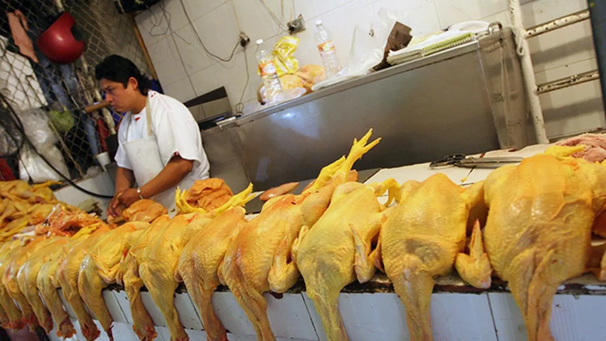 Industria cárnica pide diversificar mercados para abasto de pollo