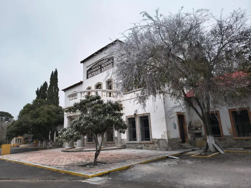 UAAAN enfrenta alza de aspirantes; analiza ampliar su capacidad