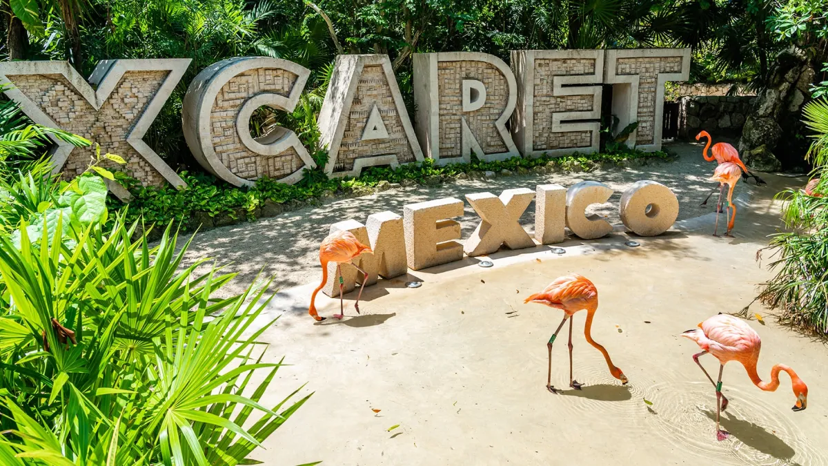 Xcaret advierte sobre mensajes de texto falsos para cobrar reservaciones; ¿Qué datos fueron extraídos?