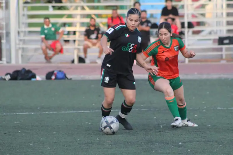 Arranca el Torneo de Liga de la LUFF con cuatro encuentros