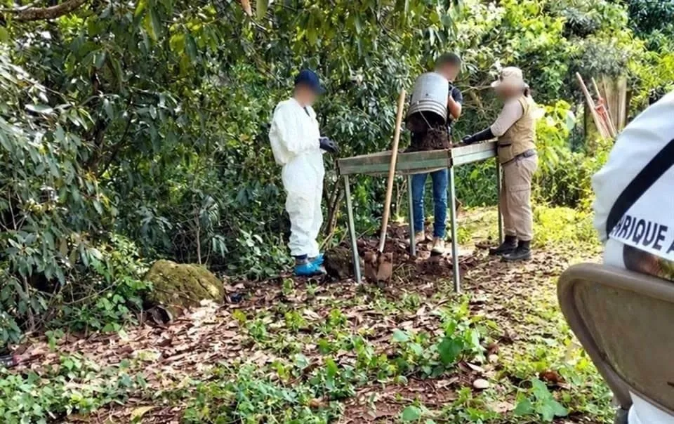 'La Casita': el predio de exterminio del CJNG en Nayarit