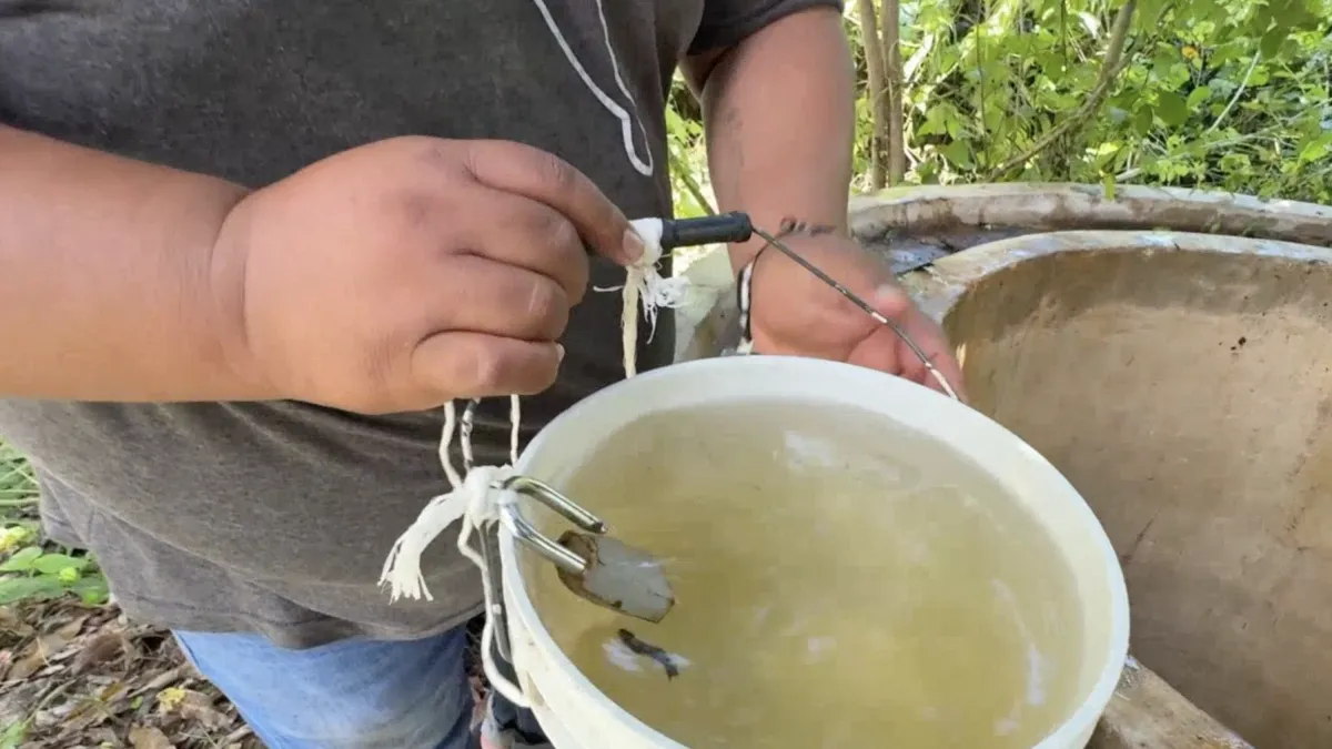 Denuncian crisis de agua en Mérida por contaminación de granjas porcícolas