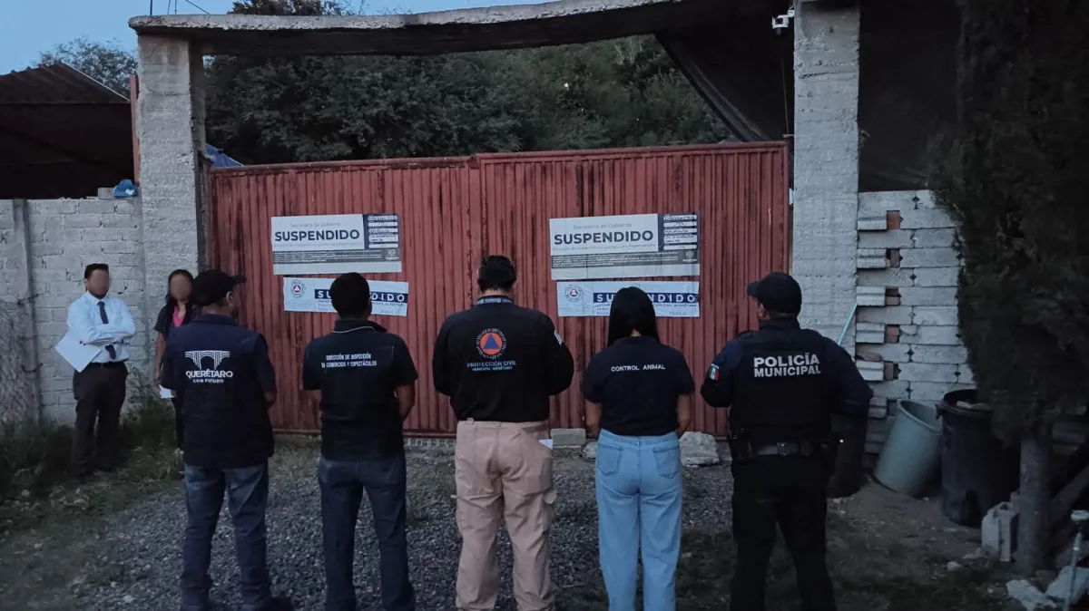 Suspenden pensión de perros en El Nabo y aseguran 28 canes