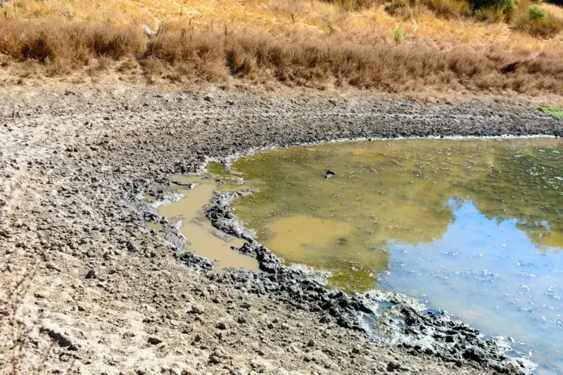 Productores de La Valla analizan reubicar dos pozos agrícolas