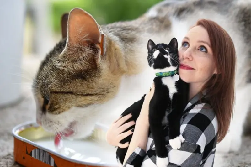 Julia Henning, especialista felina: "No les des leche a los gatos. No la necesitan, les puede causar más daño que placer"