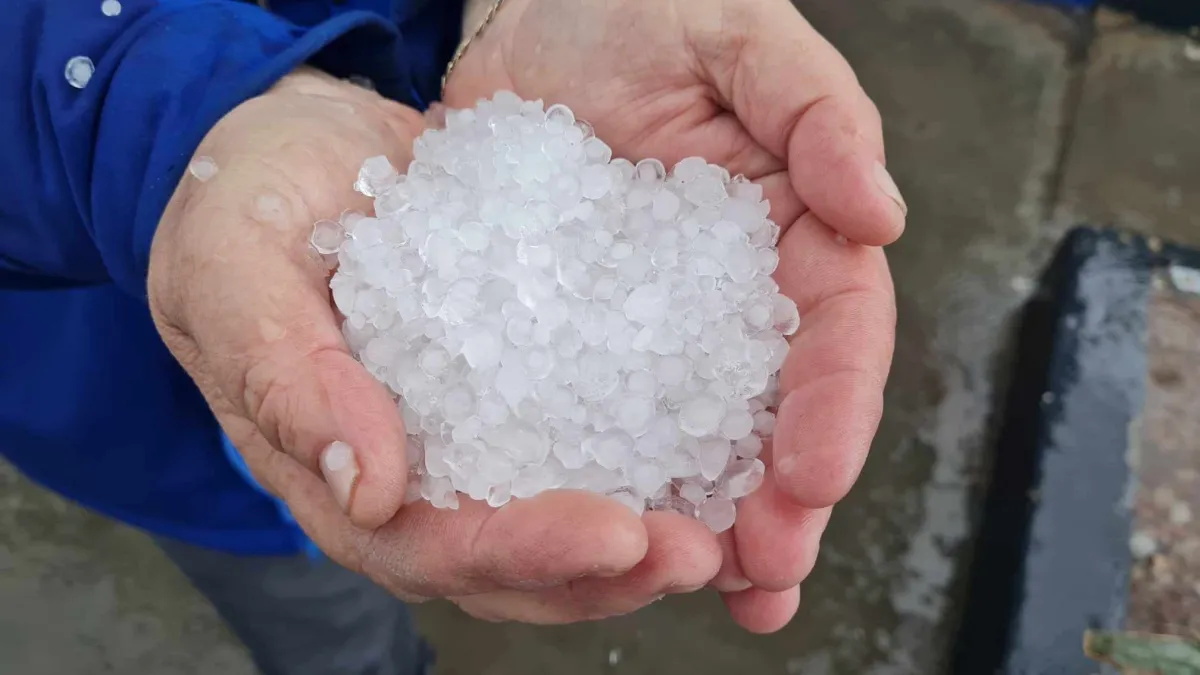 Arizona enfrenta una inusual tormenta con granizo de hasta 7.6 centímetros y vientos capaces de derribar árboles de gran tamaño, mientras Phoenix se prepara para posibles inundaciones repentinas