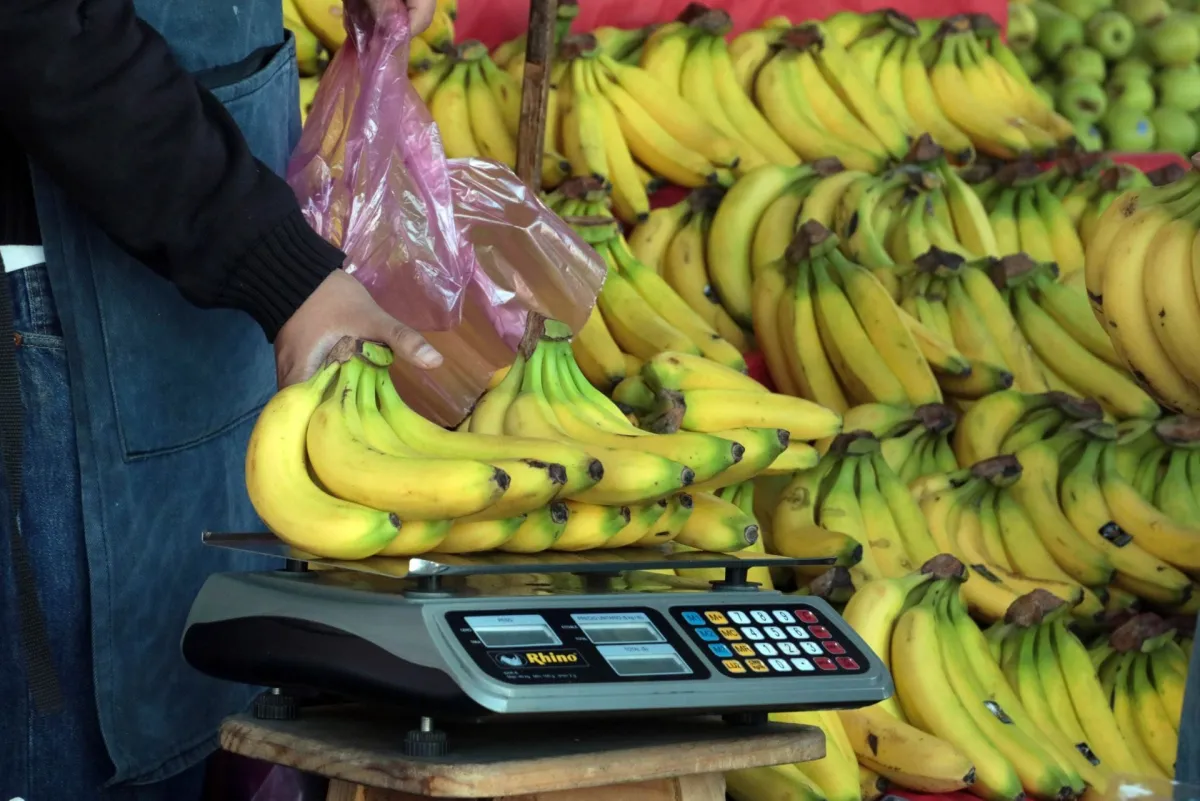 Calambre asegurado para tu pierna y cartera: ¿Por qué prevén aumento en el precio del plátano en 2027?