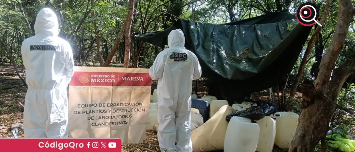 Desmantelan laboratorio clandestino de 2,500 metros cuadrados en Culiacán