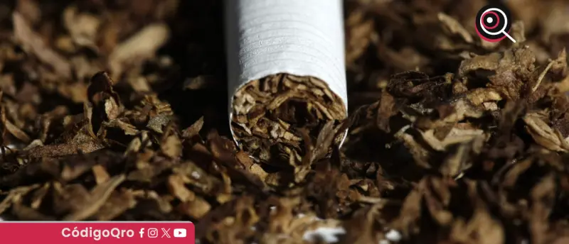 Desmantelan fábrica clandestina y decomisan 60 toneladas de cigarros falsos