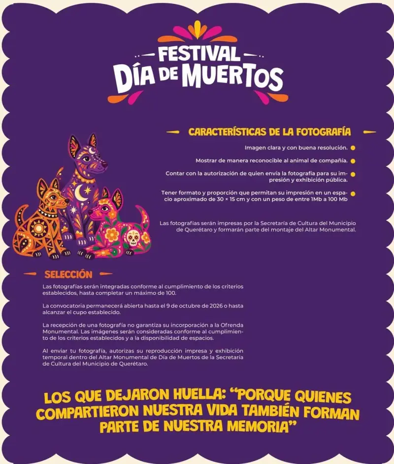 “Los que dejaron huella”: Querétaro prepara ofrenda para recordar a las mascotas que partieron