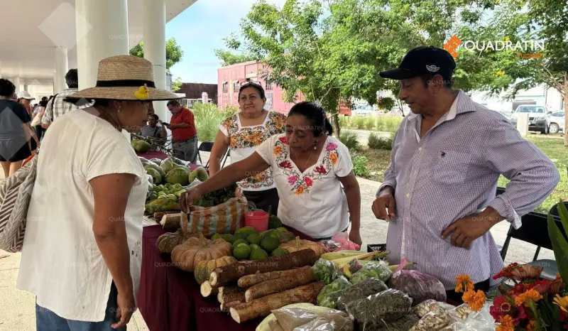 Crece el Mercado Renacer del Campo Yucateco, con más de 500 productores en La Plancha