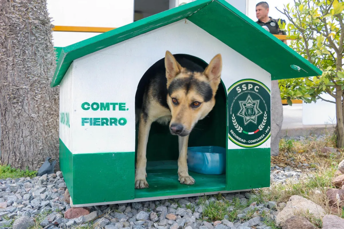 Construye Guardia Civil refugio con reciclados para Comandante Fierro