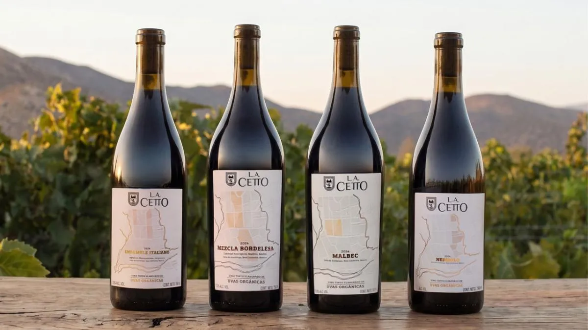 L.A. Cetto lanza línea de uvas orgánicas desde Viña Alegre en Valle de Guadalupe