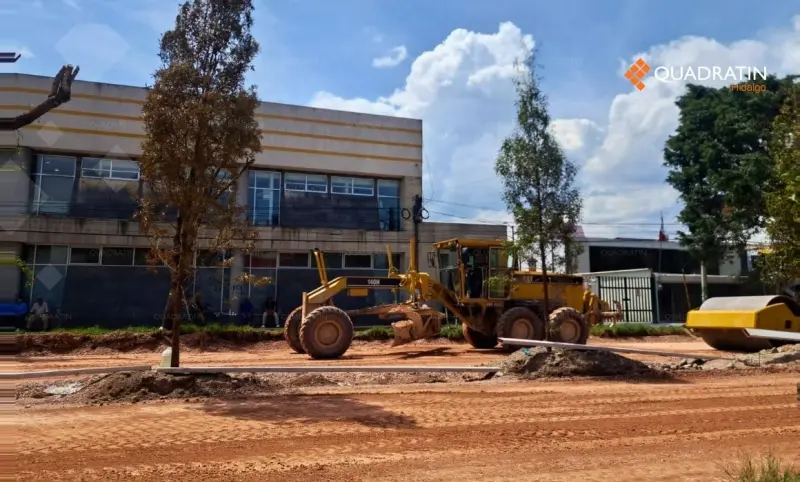 Árboles dañados por obra en Tula comienzan a secarse