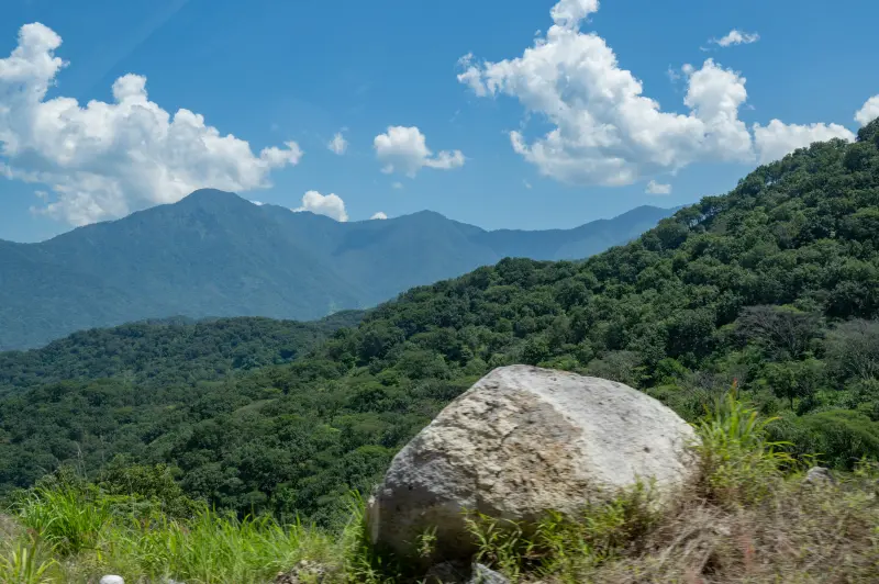 Protegen 56 mil hectáreas de la Sierra de Cacoma en 6 municipios de Jalisco
