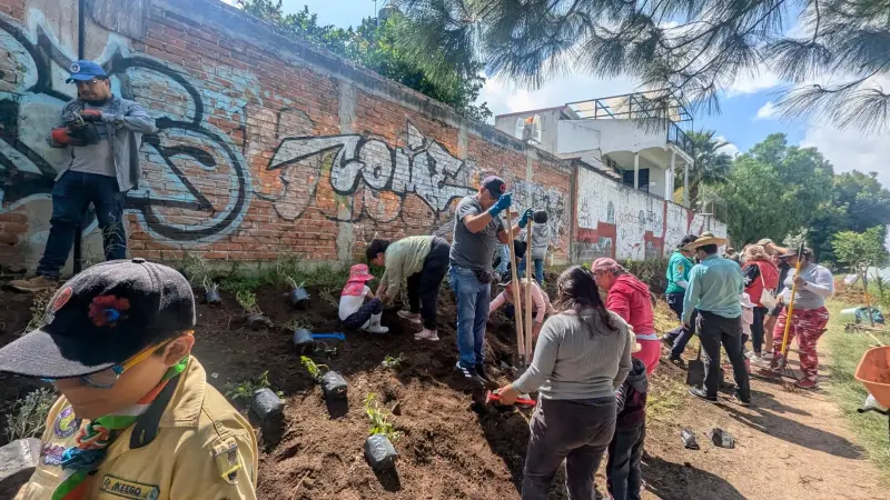 Crean ciudadanos de Izcalli jardines polinizadores en Laguna de Axotlán