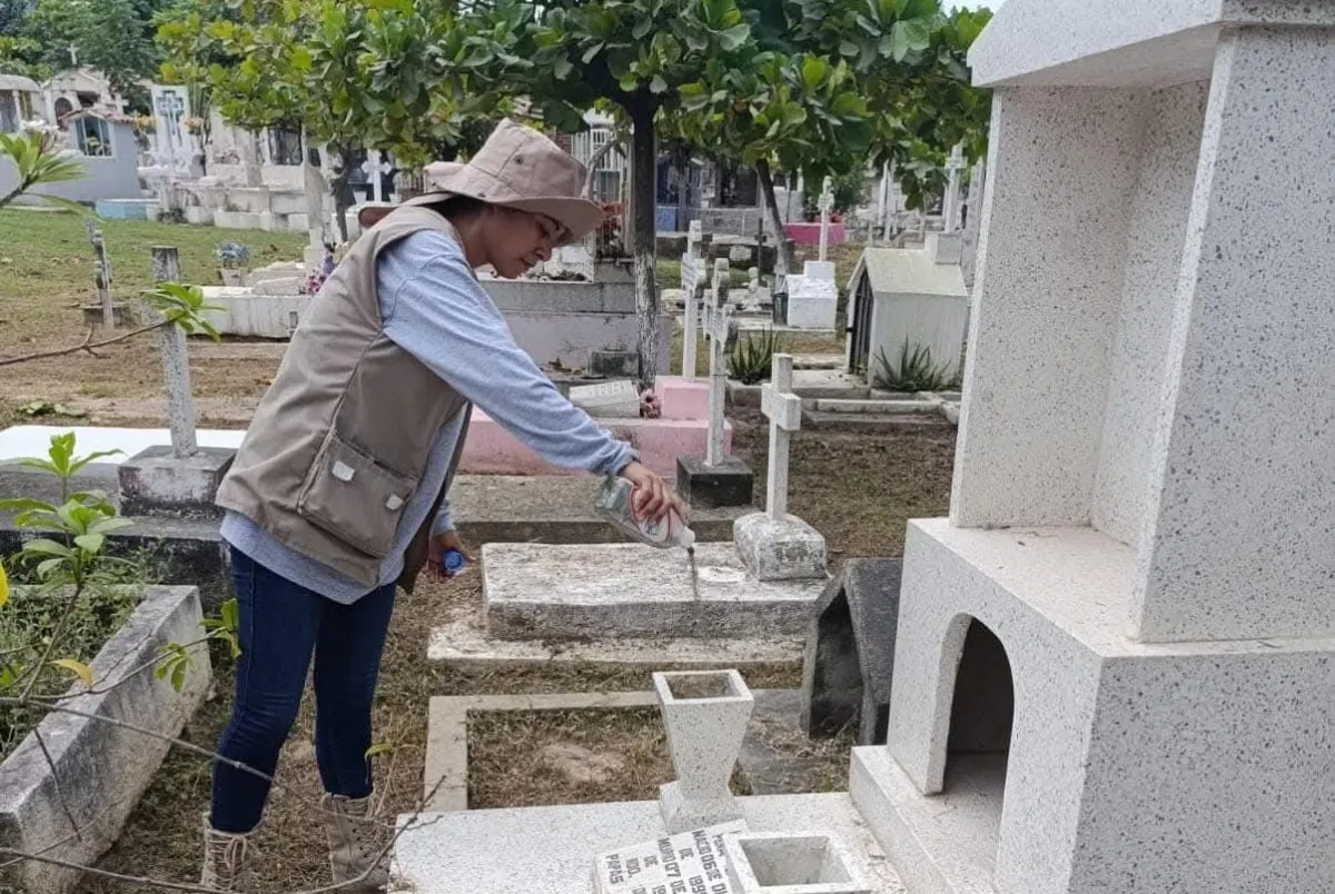 Blindan panteones de Vallarta contra mosquitos del dengue