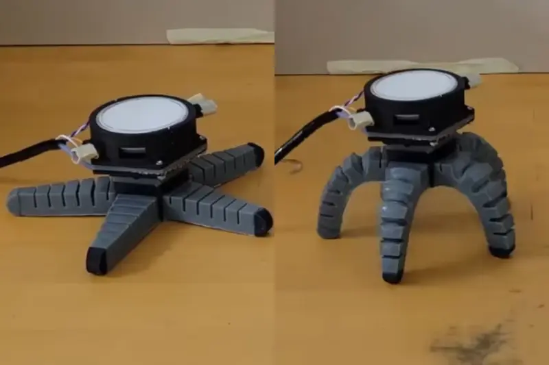 Investigadores integran un hongo vivo en un robot y logran que camine y se desplace sobre ruedas al transformar su actividad eléctrica en movimientos