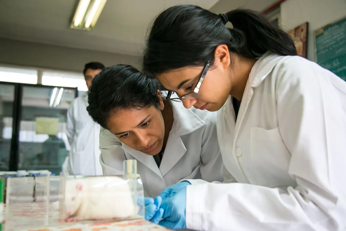 Abren convocatoria al Premio Potosino de Ciencia y Tecnología 2026