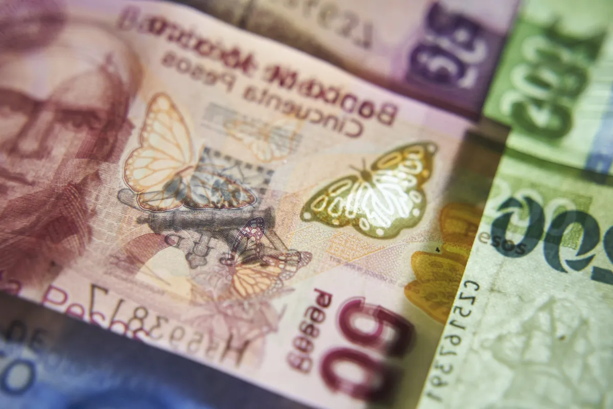 La crisis fiscal y el Estado hueco en México