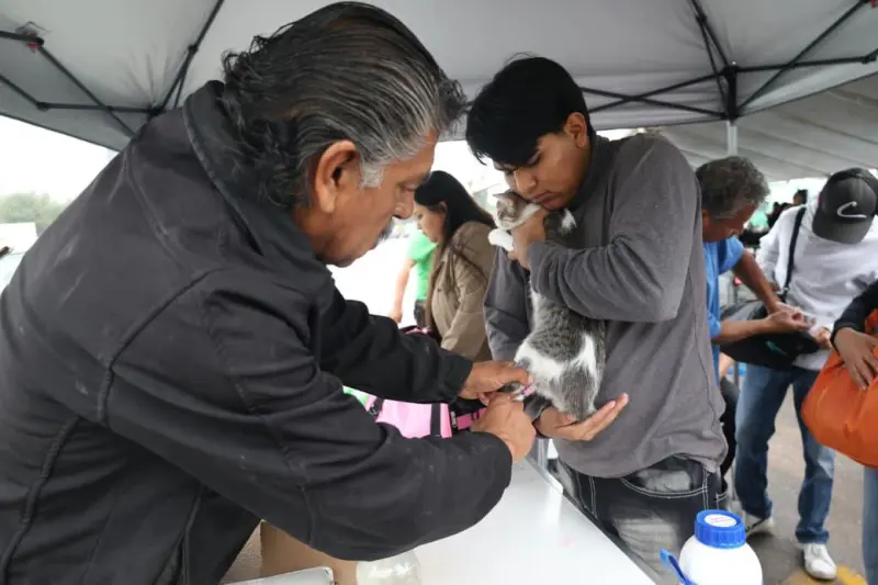 Feria del Bienestar Animal en Saltillo promueve la adopción y el cuidado de los seres sintientes