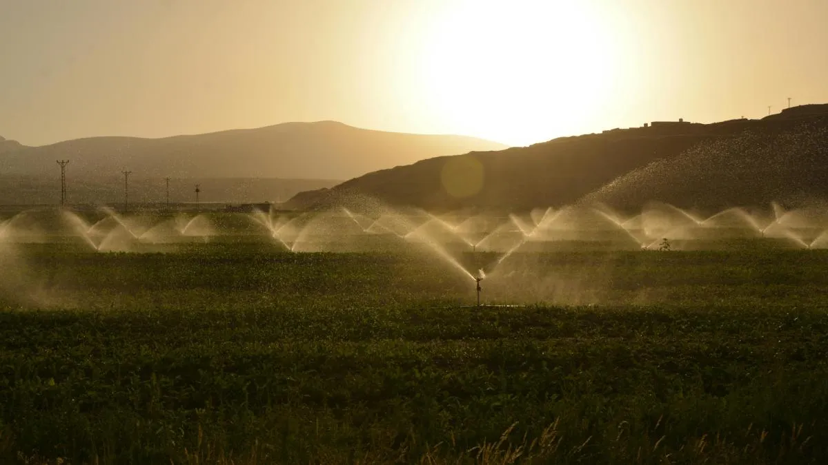 Industria tecnológica eleva presión sobre el agua agrícola en el Bajío