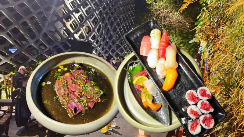 Así es TORI: La renovada barra de sushi que parece un bosque encantado en CDMX