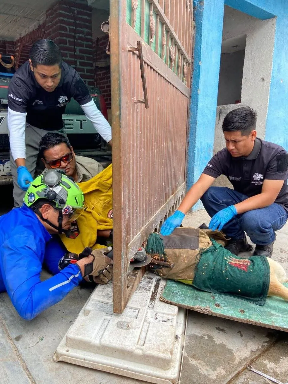 Rescate de cuatro patas; liberan a perro atrapado en un portón en Amazcala
