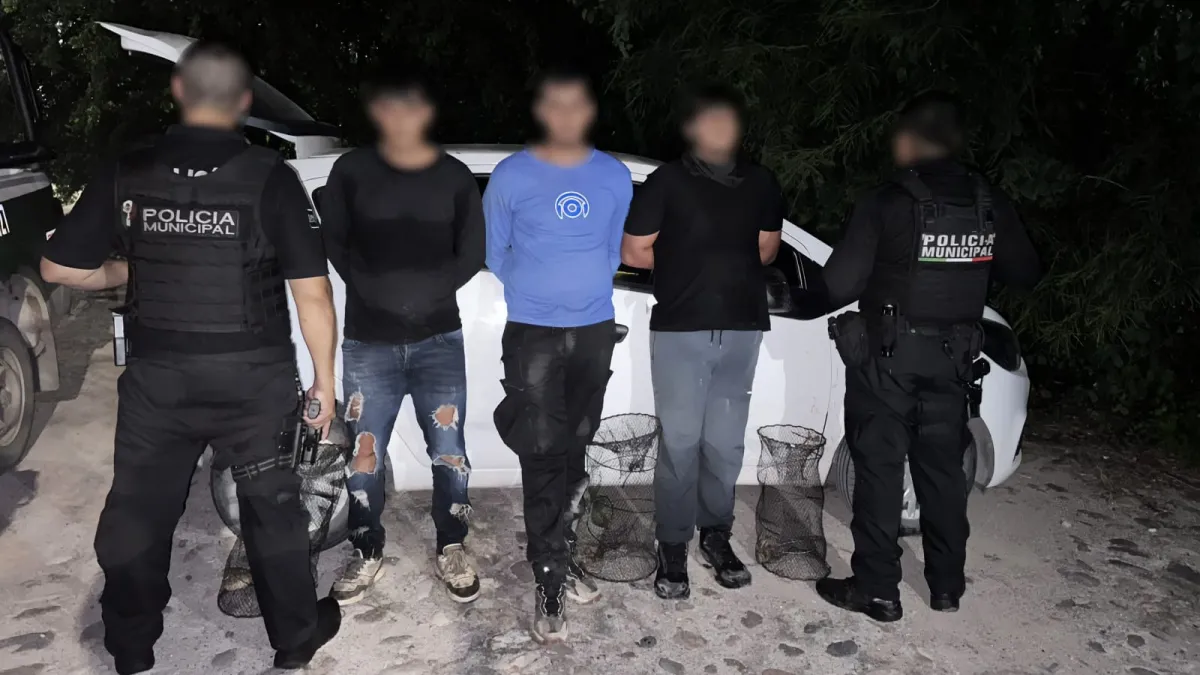 Vinculan a proceso a 3 por captura ilegal de tortuga casquito en Vallarta  