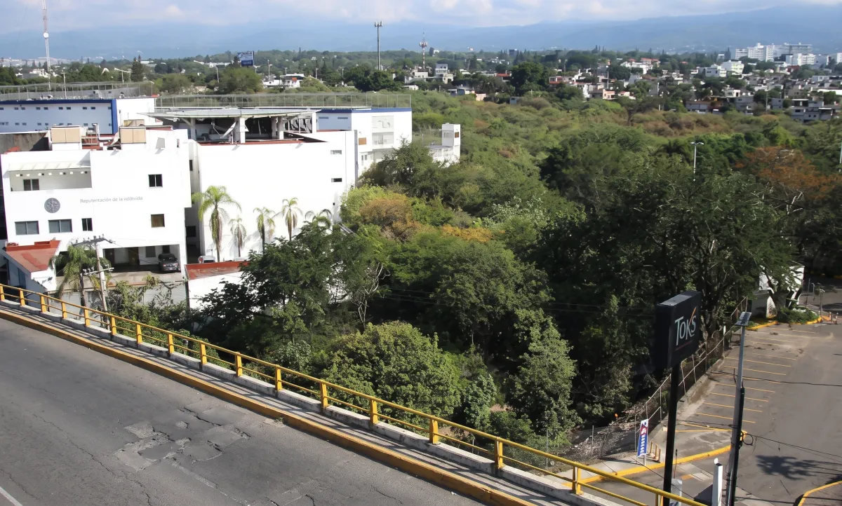 Abre Tribunal puerta a trámites para torres en La Cazahuatera