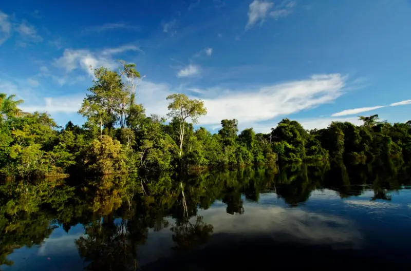 Amazonía colombiana: familias producen alimentos y cuidan bosques