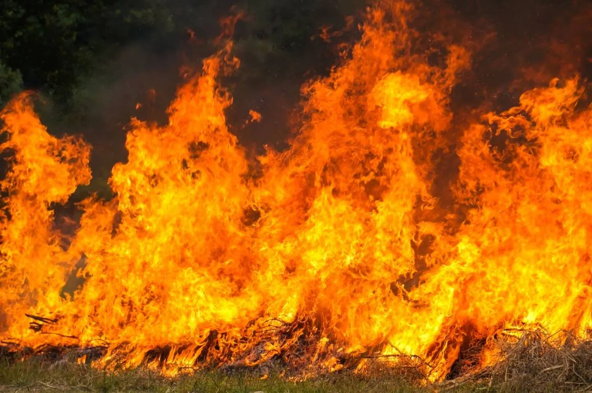 Confirman muerte de 4 soldados por incendio en base militar canadiense