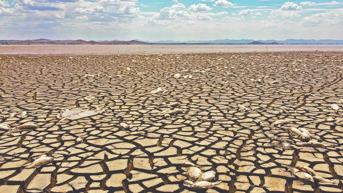 Pese a huracanes sequía repunta en el sureste del país