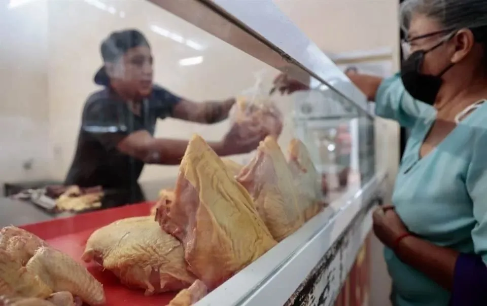 Asegura Sader abasto de pollo pese a restricción para Brasil