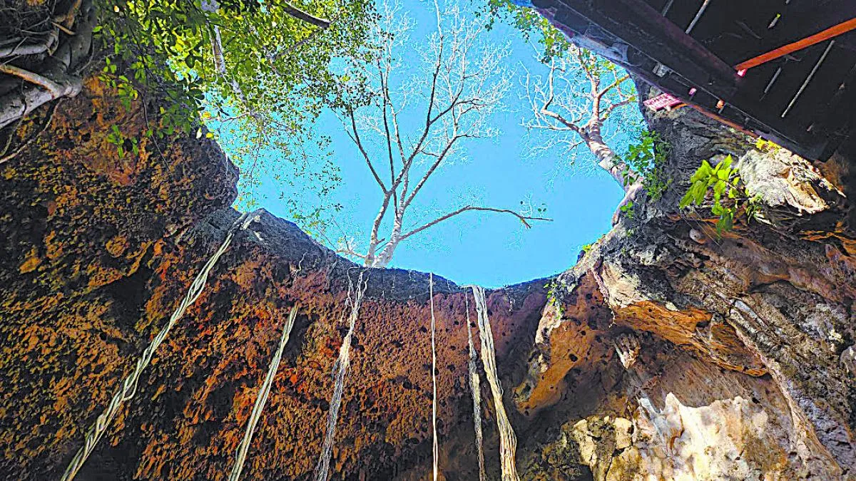 Greenpeace alerta sobre contaminación por bacterias fecales en pozos y cenotes de Yucatán