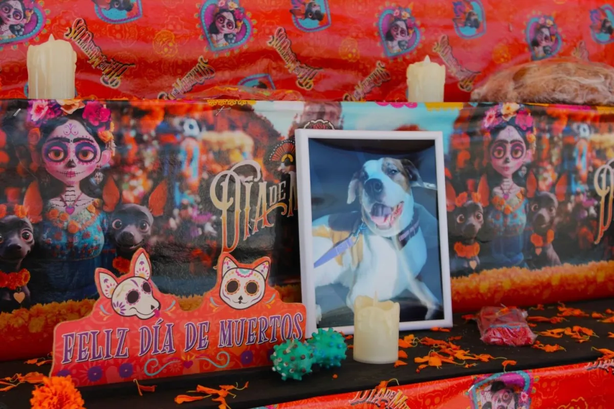 Bosque de Mexicali y Ecoparque Laguna México preparan altares y eventos por Día de Muertos