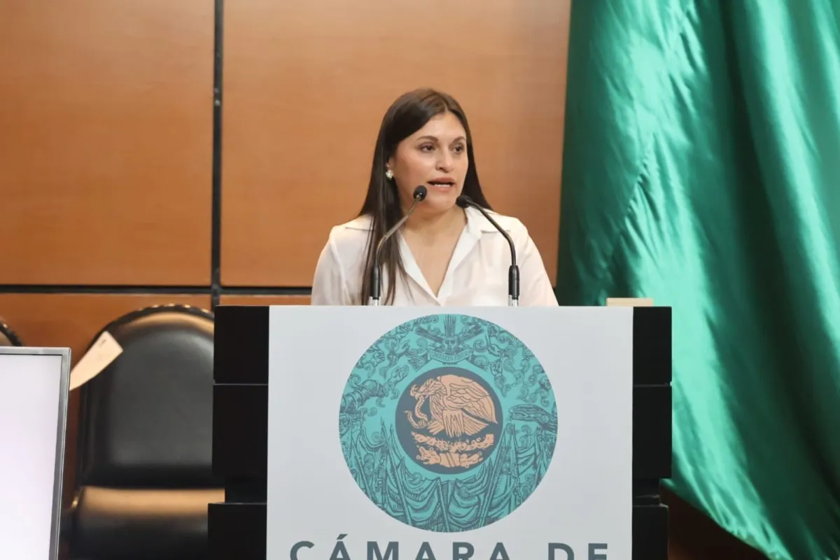 "No basta con la renuncia de Taddei, debe rendir cuentas"