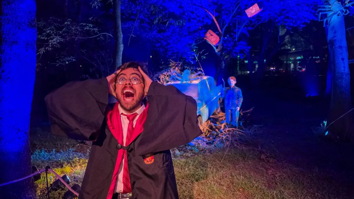 Bosque Prohibido de Harry Potter en México: lo que debes saber antes de ir