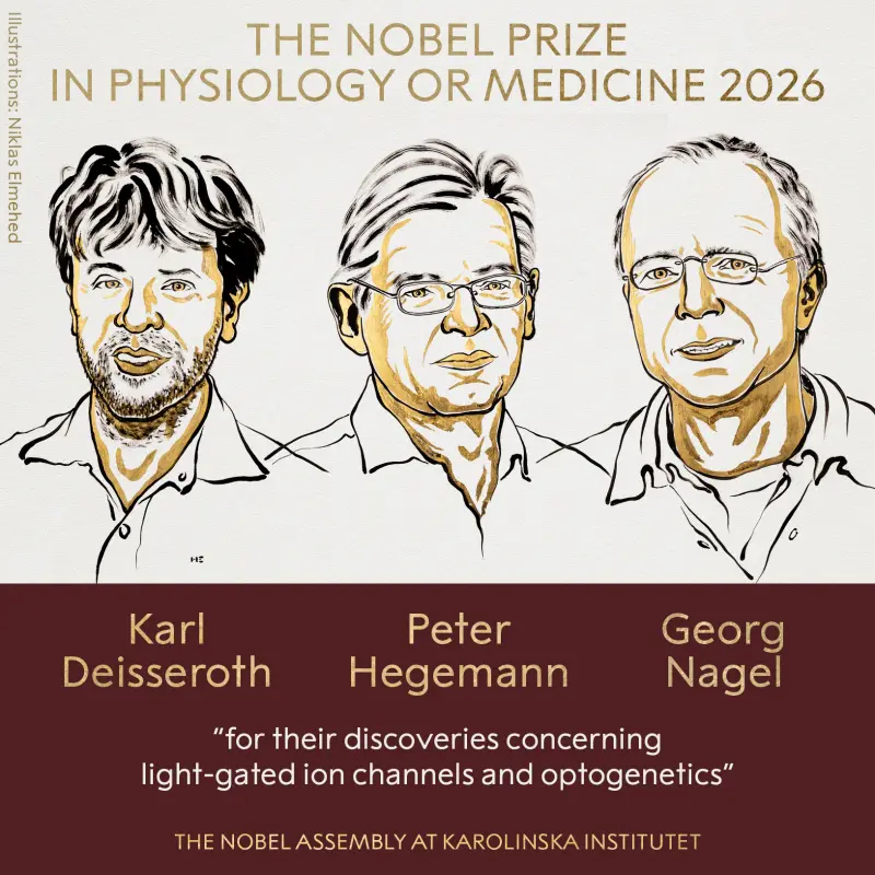 El Nobel de Medicina 2026 premia a tres científicos que investigan la actividad cerebral.