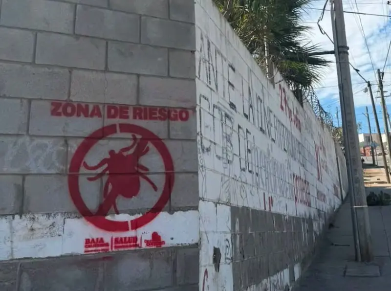 Calor prolonga ciclo de la garrapata y suman 40 casos de rickettsiosis en Ensenada
