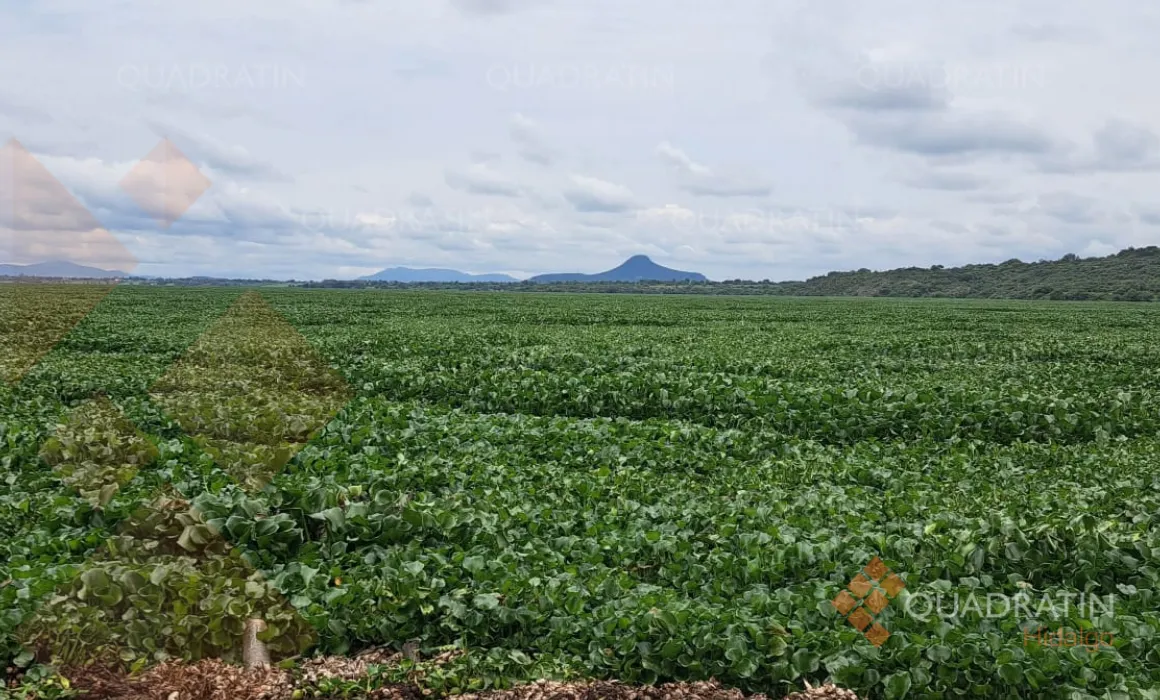 Conagua informa ajuste en los tiempos de arribo de maquinaria para la presa Endhó