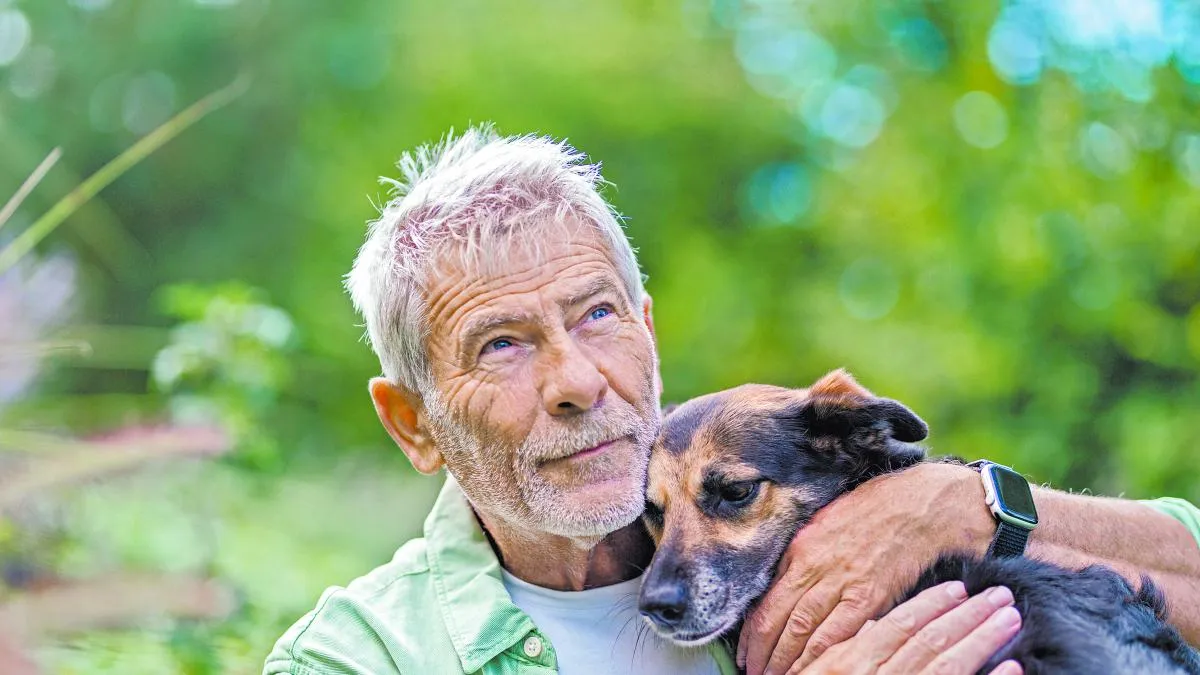 Envejecimiento de las mascotas: La importancia del cuidado en su mediana edad