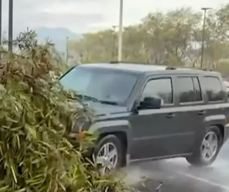 Camioneta embiste a reportera y camarógrafo de GamaVisión en Monterrey