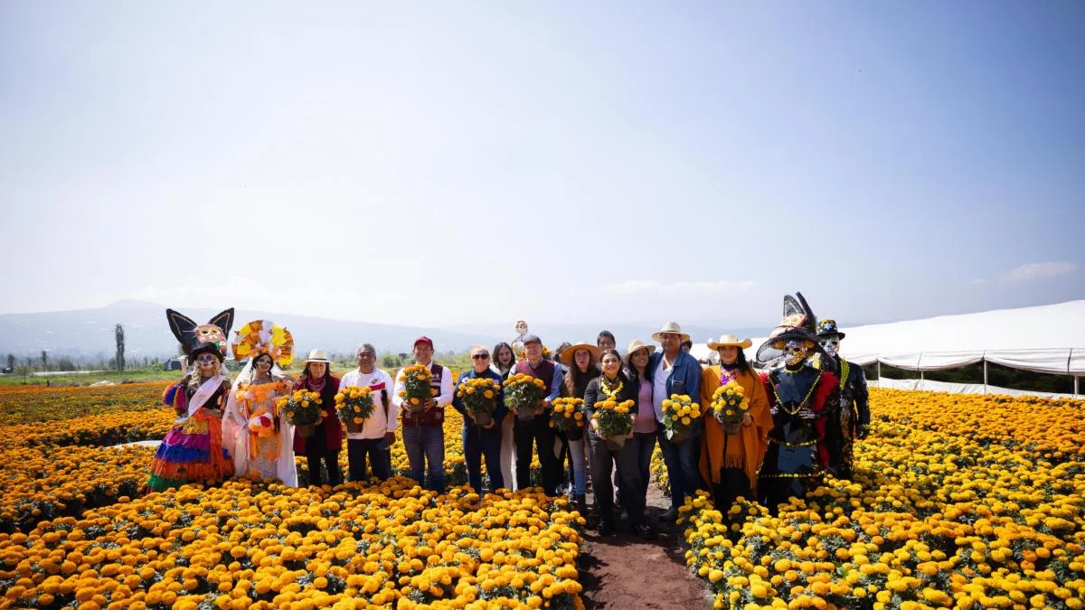 Xochimilco alcanza producción récord con 10 millones de flores de cempasúchil